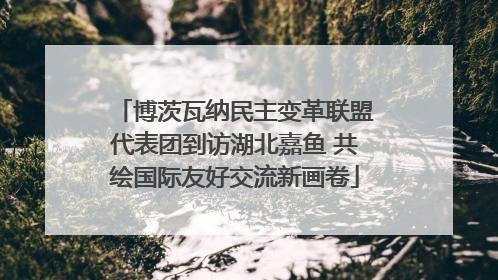 博茨瓦纳民主变革联盟代表团到访湖北嘉鱼 共绘国际友好交流新画卷