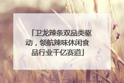 卫龙辣条双品类驱动，领航辣味休闲食品行业千亿赛道
