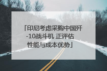 印尼考虑采购中国歼-10战斗机 正评估性能与成本优势