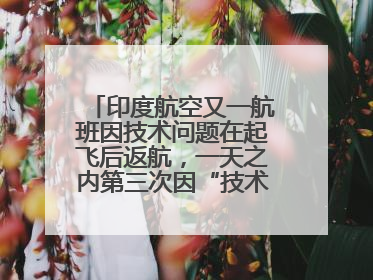 印度航空又一航班因技术问题在起飞后返航，一天之内第三次因“技术问题”返航