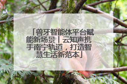 兽牙智能体平台赋能新场景丨云知声携手南宁轨道，打造智慧生活新范本