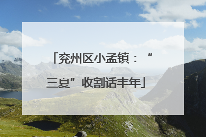 兖州区小孟镇：“三夏”收割话丰年