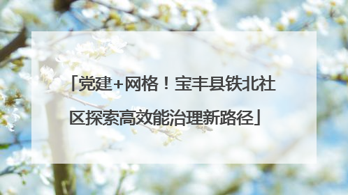 党建+网格！宝丰县铁北社区探索高效能治理新路径