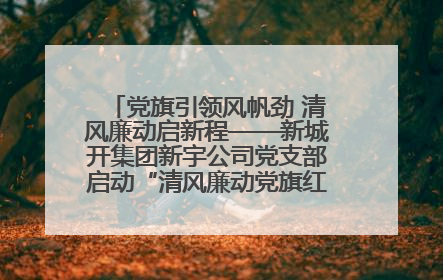 党旗引领风帆劲 清风廉动启新程——新城开集团新宇公司党支部启动“清风廉动党旗红”系列活动