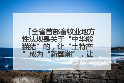 全省首部畜牧业地方性法规是关于“中华熊猫猪”的，让“土特产”成为“新国潮”，让“农产品”升格为“城市IP”