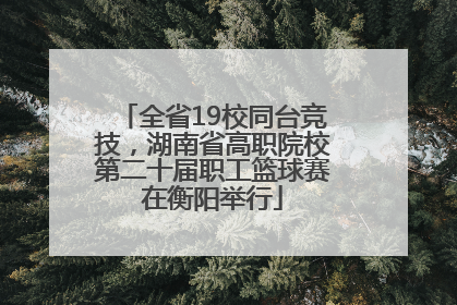 全省19校同台竞技，湖南省高职院校第二十届职工篮球赛在衡阳举行