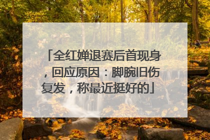 全红婵退赛后首现身，回应原因：脚腕旧伤复发，称最近挺好的