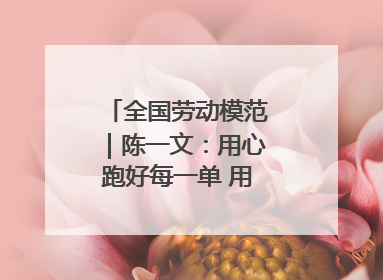 全国劳动模范｜陈一文：用心跑好每一单 用爱回馈这座城