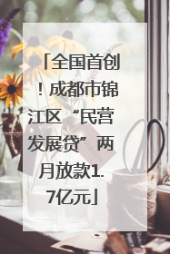 全国首创！成都市锦江区“民营发展贷”两月放款1.7亿元