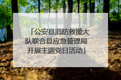 公安县消防救援大队联合县应急管理局开展主题党日活动