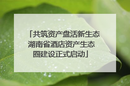 共筑资产盘活新生态 湖南省酒店资产生态圈建设正式启动