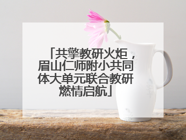 共擎教研火炬，眉山仁师附小共同体大单元联合教研燃情启航