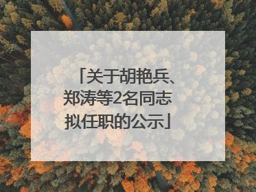 关于胡艳兵、郑涛等2名同志拟任职的公示
