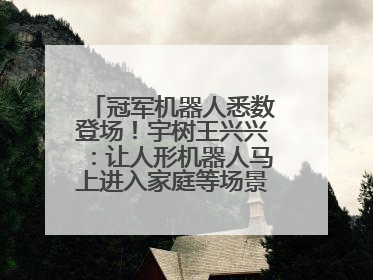 冠军机器人悉数登场！宇树王兴兴：让人形机器人马上进入家庭等场景并不现实