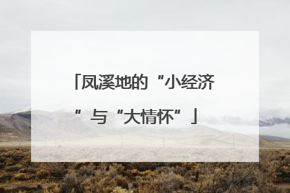 凤溪地的“小经济”与“大情怀”
