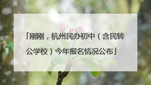 刚刚，杭州民办初中（含民转公学校）今年报名情况公布
