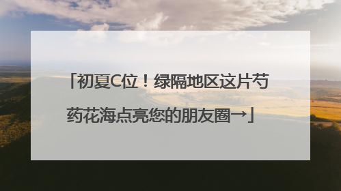 初夏C位！绿隔地区这片芍药花海点亮您的朋友圈→