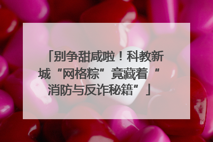 别争甜咸啦！科教新城“网格粽”竟藏着“消防与反诈秘籍”