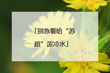 别急着给“苏超”泼冷水