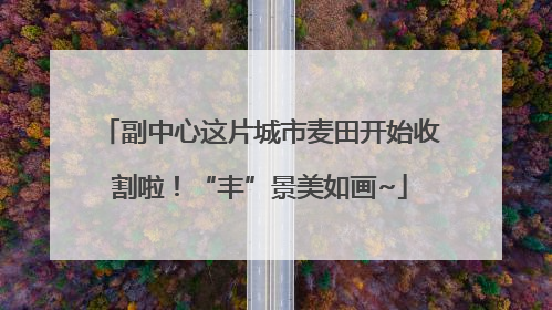 副中心这片城市麦田开始收割啦！“丰”景美如画~
