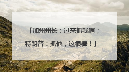 加州州长：过来抓我啊；特朗普：抓他，这很棒！