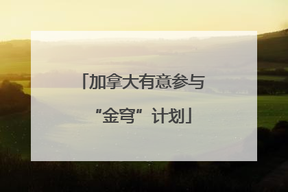 加拿大有意参与“金穹”计划