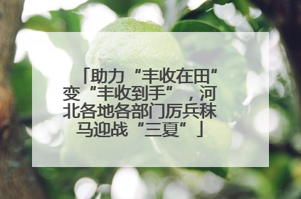 助力“丰收在田”变“丰收到手”，河北各地各部门厉兵秣马迎战“三夏”