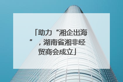 助力“湘企出海”，湖南省湘非经贸商会成立