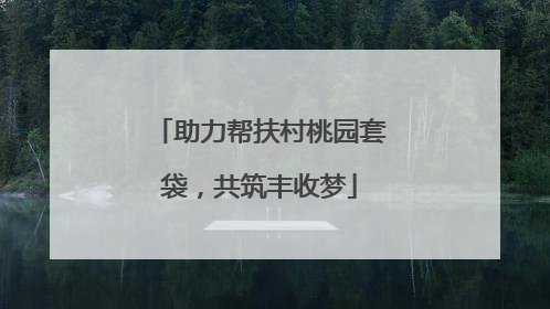 助力帮扶村桃园套袋，共筑丰收梦