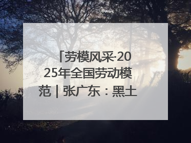 劳模风采·2025年全国劳动模范｜张广东：黑土地上的青春之歌