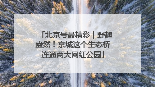 北京号最精彩｜野趣盎然！京城这个生态桥连通两大网红公园