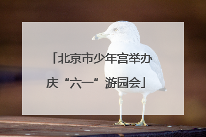 北京市少年宫举办庆“六一”游园会