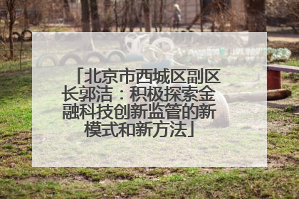 北京市西城区副区长郭洁：积极探索金融科技创新监管的新模式和新方法