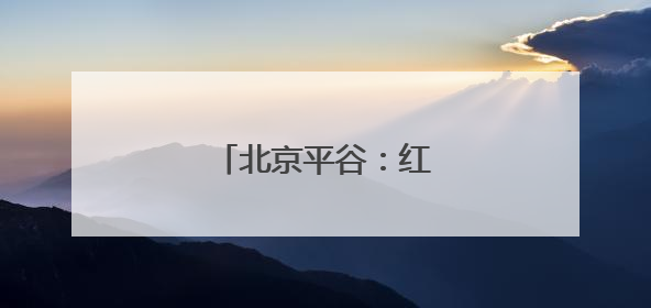 北京平谷：红杏成熟上市