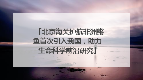 北京海关护航非洲鳉鱼首次引入我国，助力生命科学前沿研究