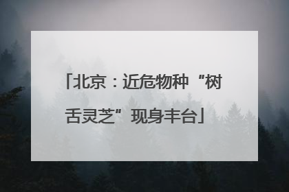 北京：近危物种“树舌灵芝”现身丰台