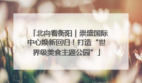 北向看衡阳｜崇盛国际中心焕新回归！打造“世界级美食主题公园”