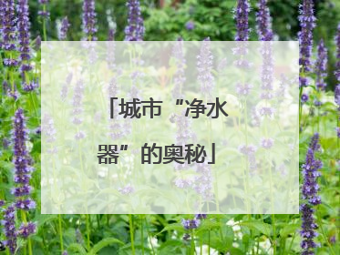 城市“净水器”的奥秘