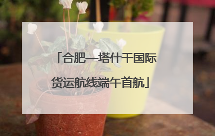 合肥—塔什干国际货运航线端午首航