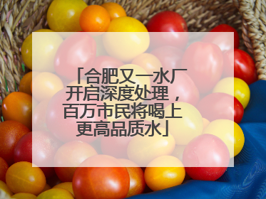 合肥又一水厂开启深度处理，百万市民将喝上更高品质水