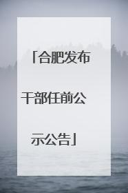 合肥发布干部任前公示公告