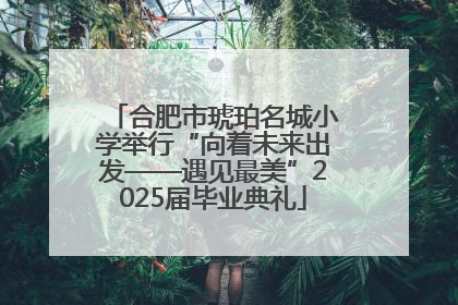 合肥市琥珀名城小学举行“向着未来出发——遇见最美”2025届毕业典礼