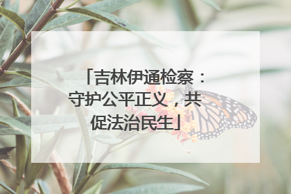 吉林伊通检察：守护公平正义，共促法治民生