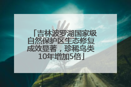 吉林波罗湖国家级自然保护区生态修复成效显著，珍稀鸟类10年增加5倍