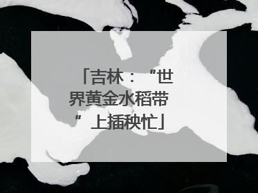 吉林：“世界黄金水稻带”上插秧忙