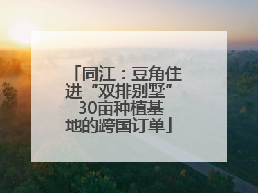 同江：豆角住进“双排别墅” 30亩种植基地的跨国订单