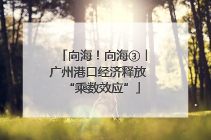 向海！向海③丨广州港口经济释放“乘数效应”