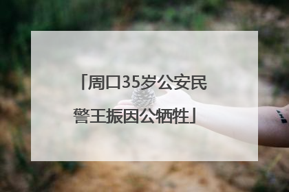周口35岁公安民警王振因公牺牲