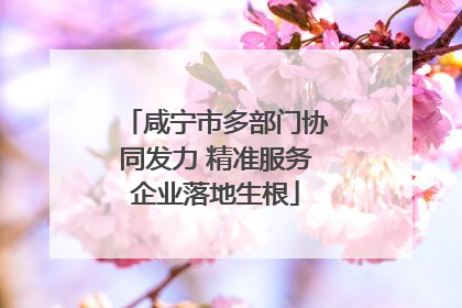 咸宁市多部门协同发力 精准服务企业落地生根