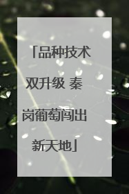 品种技术双升级 秦岗葡萄闯出新天地